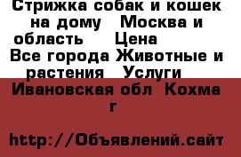 Стрижка собак и кошек на дому.  Москва и область.  › Цена ­ 1 200 - Все города Животные и растения » Услуги   . Ивановская обл.,Кохма г.